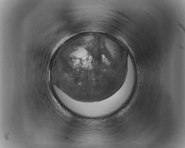 X0000102771125200809080958