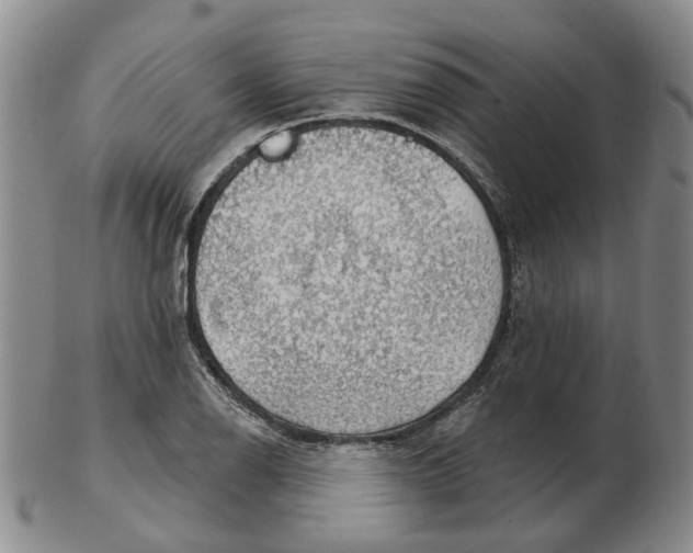 X0000102771126200809080958