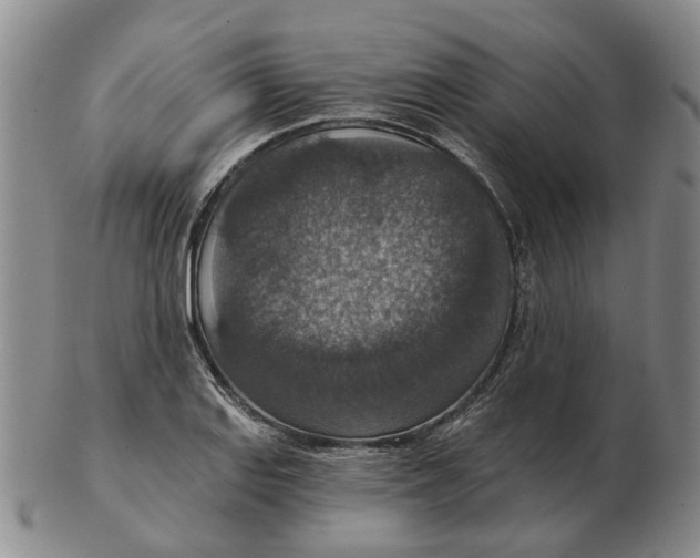 X0000102771127200809080958