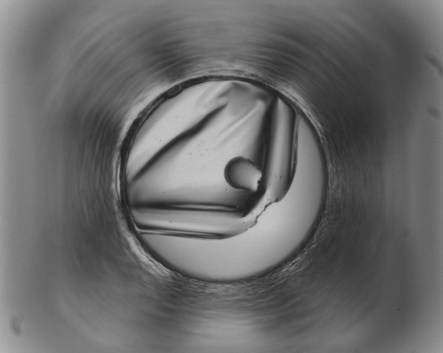 X0000102771128200809080958