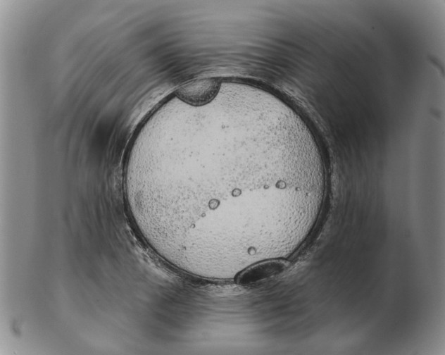 X0000102771129200809080958