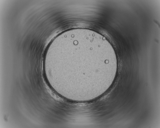 X0000102771130200809080958