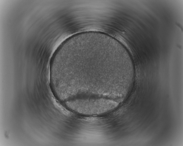 X0000102771132200809080958