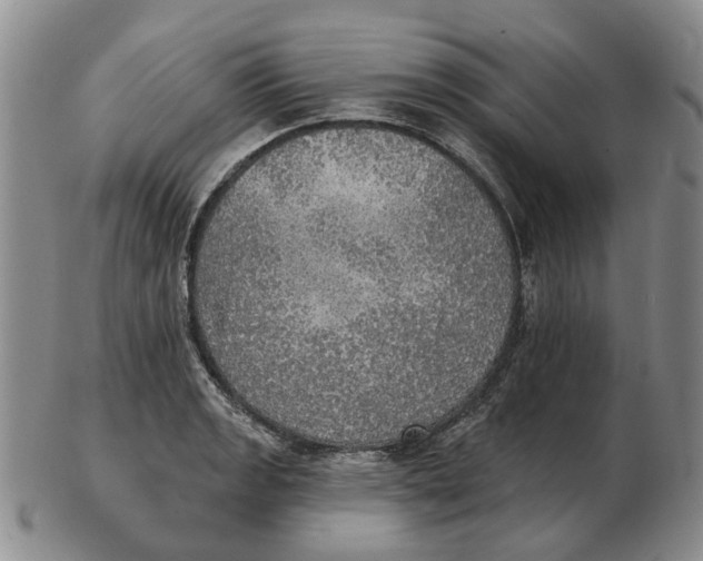 X0000102771133200809080958