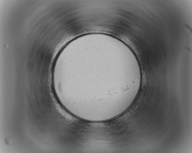 X0000102771136200809080958