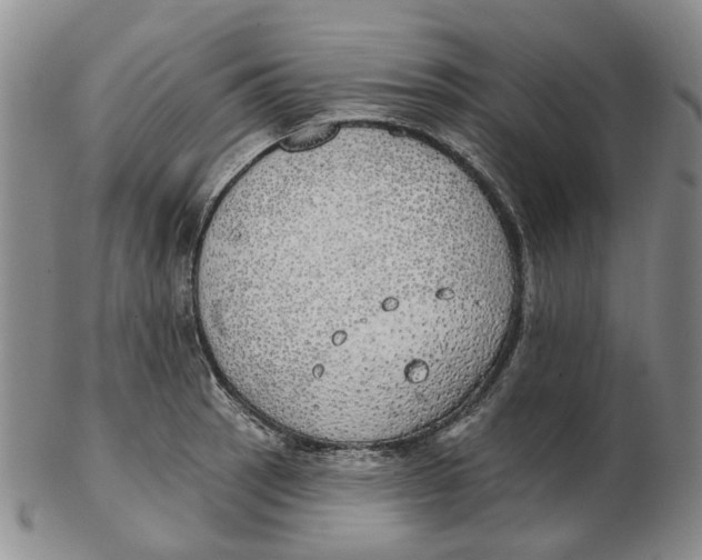 X0000102771137200809080958