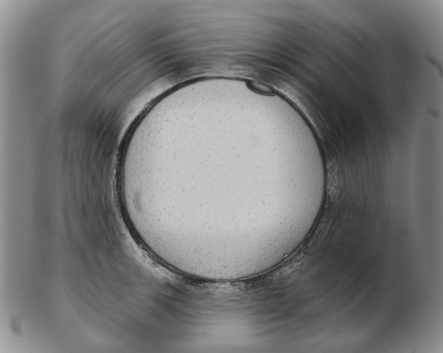 X0000102771139200809080958