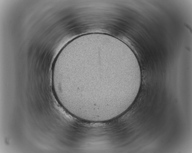 X0000102771140200809080958