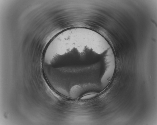 X0000102771141200809080958