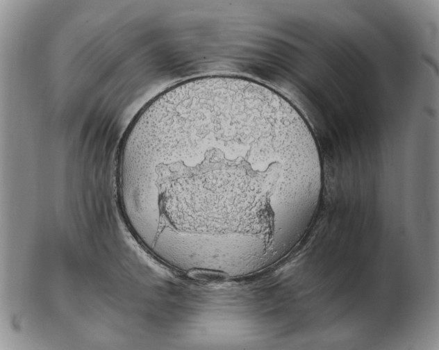 X0000102771142200809080958