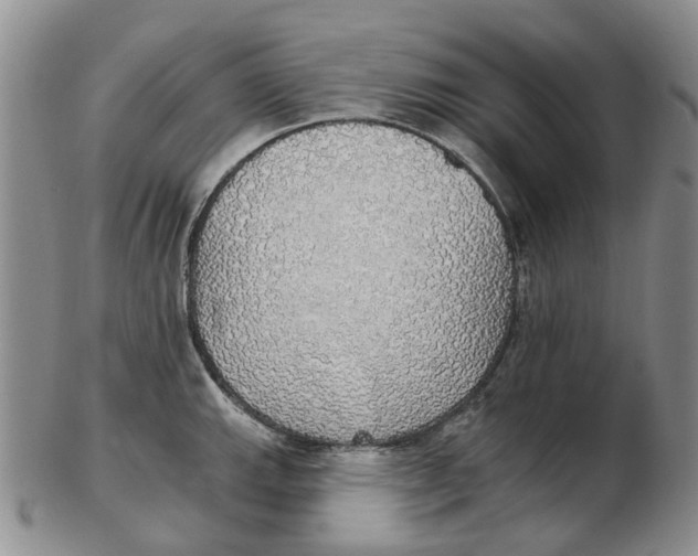 X0000102771143200809080958