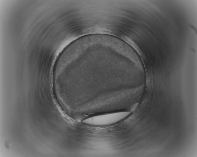 X0000102771144200809080958