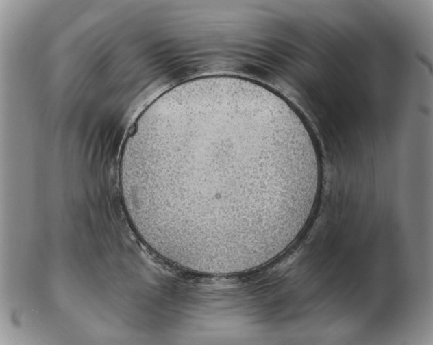 X0000102771145200809080958