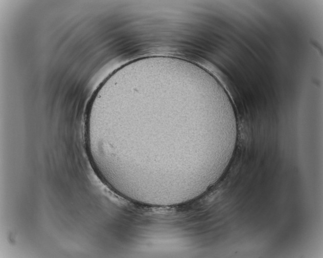 X0000102771147200809080959