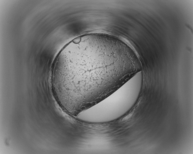 X0000102771149200809080959