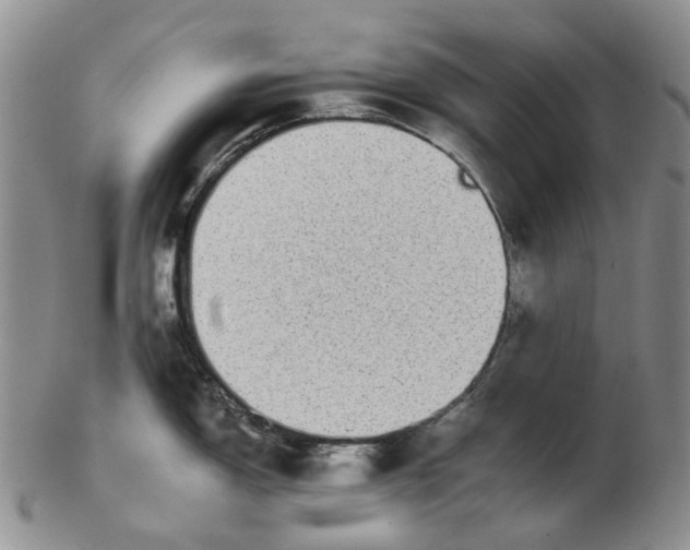 X0000102771150200809080959