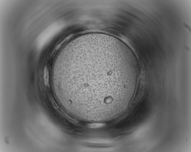 X0000102771151200809080959