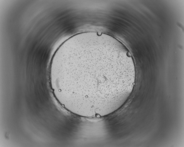 X0000102771152200809080959