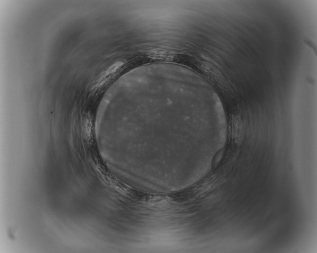 X0000102771154200809080958