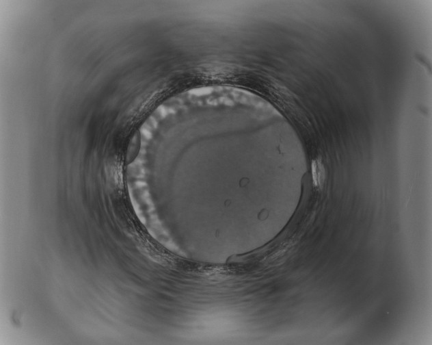 X0000102771155200809080958