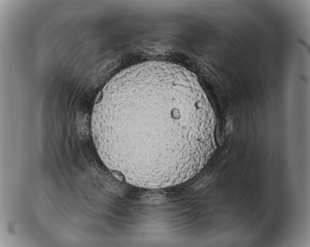 X0000102771156200809080958