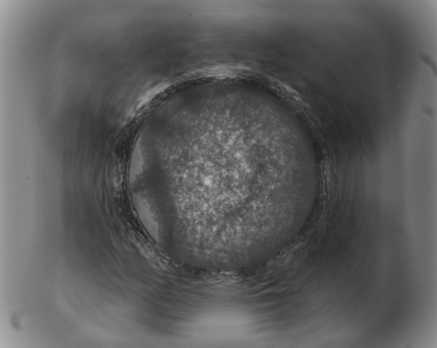 X0000102771158200809080958