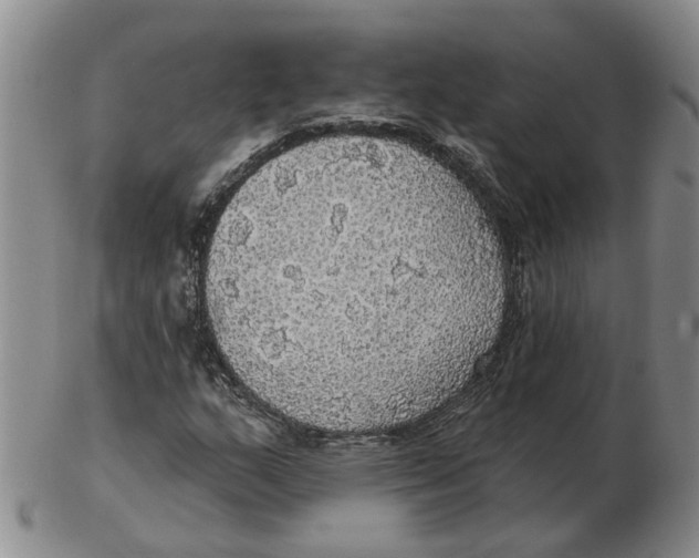 X0000102771159200809080958