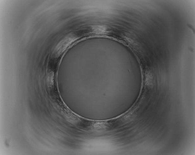 X0000102771161200809080958