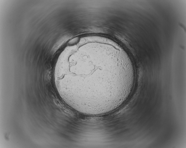 X0000102771163200809080958