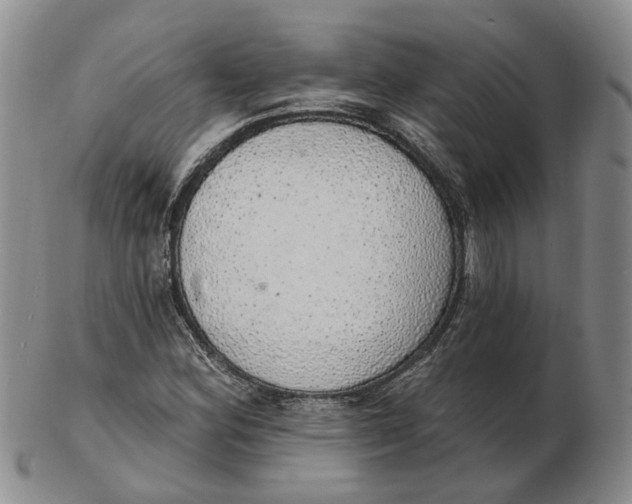 X0000102771164200809080958