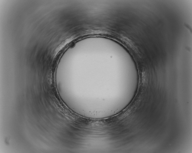 X0000102771165200809080958