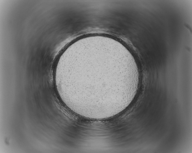 X0000102771167200809080958