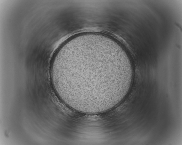 X0000102771168200809080958