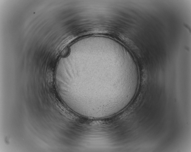 X0000102771169200809080958