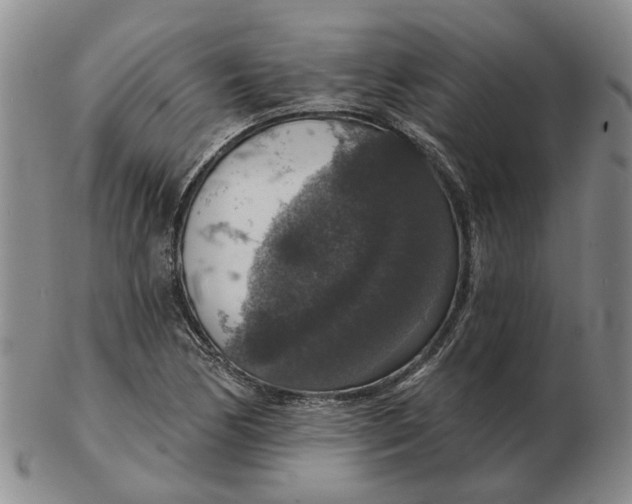 X0000102771170200809080958