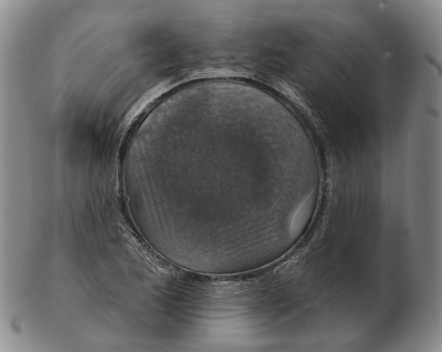 X0000102771173200809080958