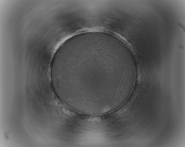 X0000102771174200809080958