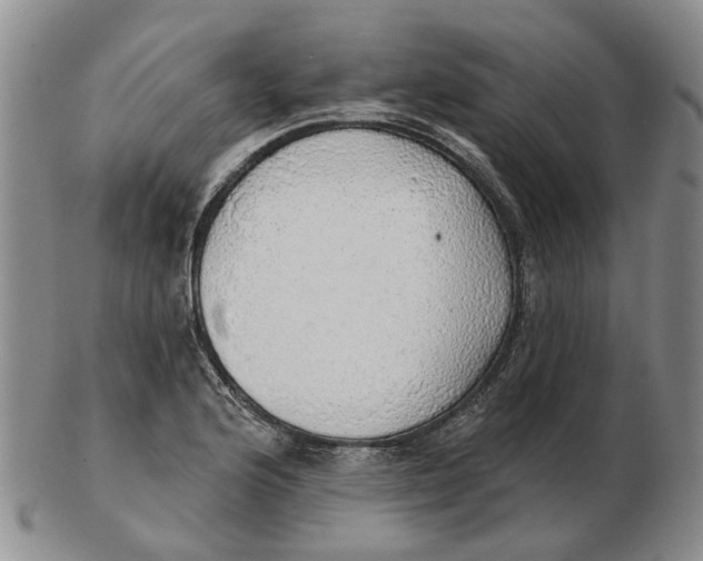 X0000102771176200809080958