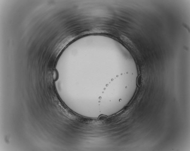 X0000102771177200809080958