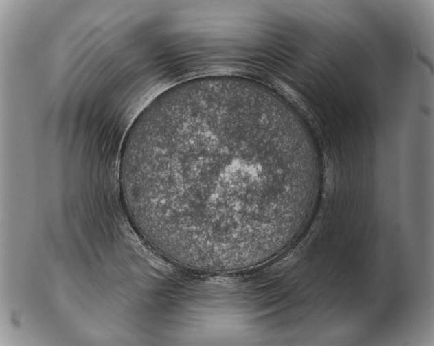 X0000102771178200809080958