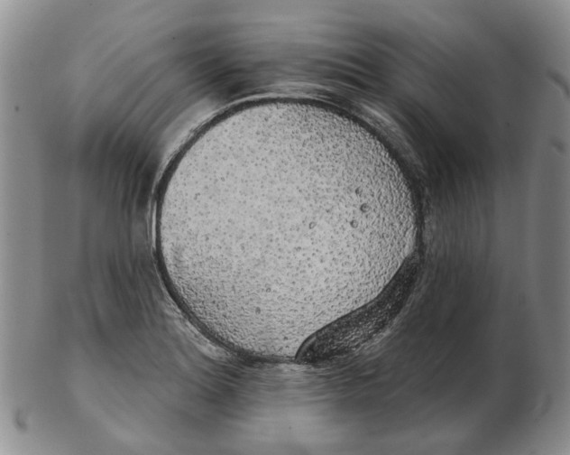 X0000102771180200809080958