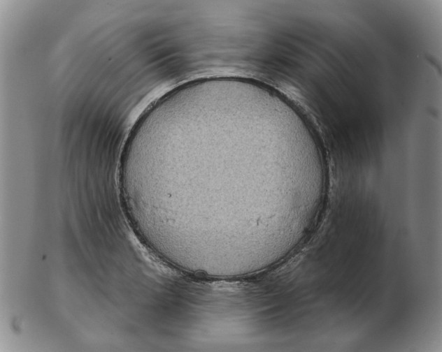 X0000102771181200809080958