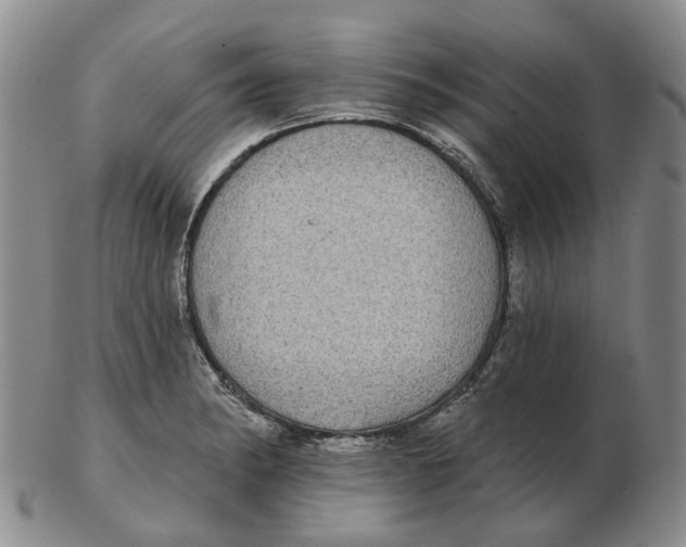 X0000102771182200809080958