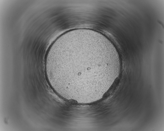 X0000102771184200809080957