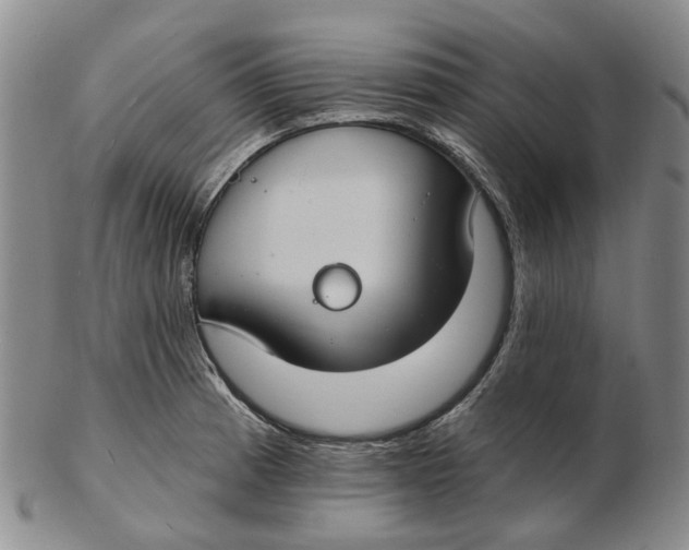 X0000102771185200809080957