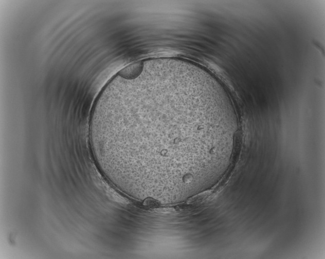 X0000102771186200809080957