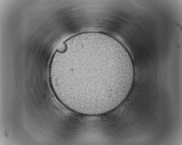 X0000102771187200809080957