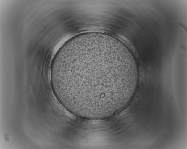 X0000102771188200809080957