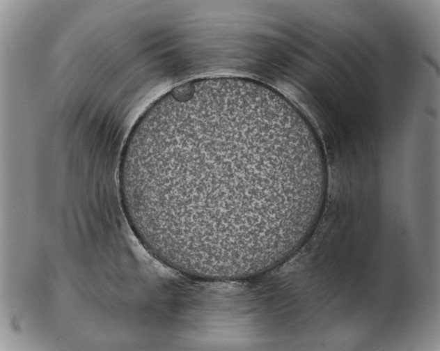 X0000102771189200809080957