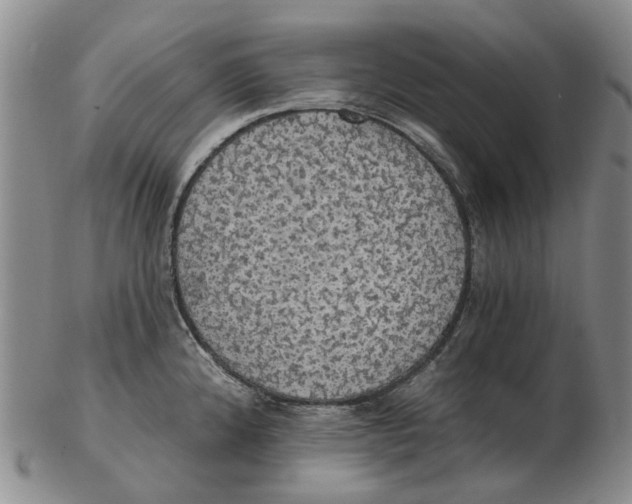 X0000102771192200809080957